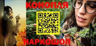 шишки Краснодар