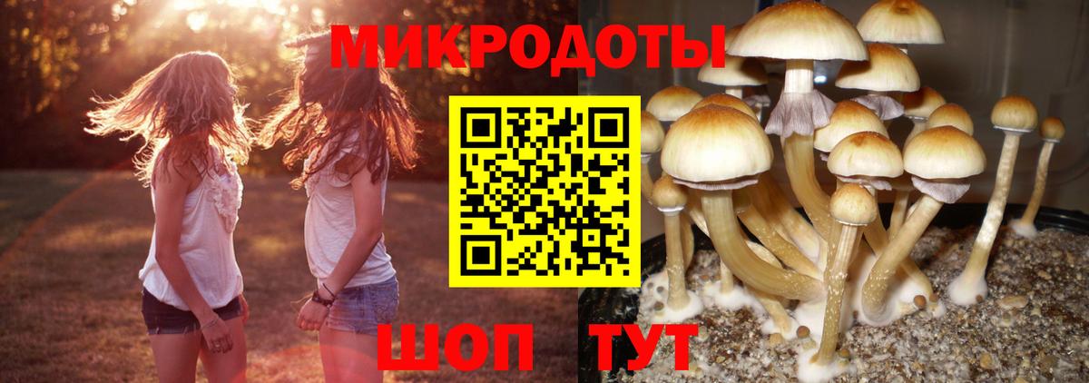 Псилоцибиновые грибы MAGIC MUSHROOMS Когалым